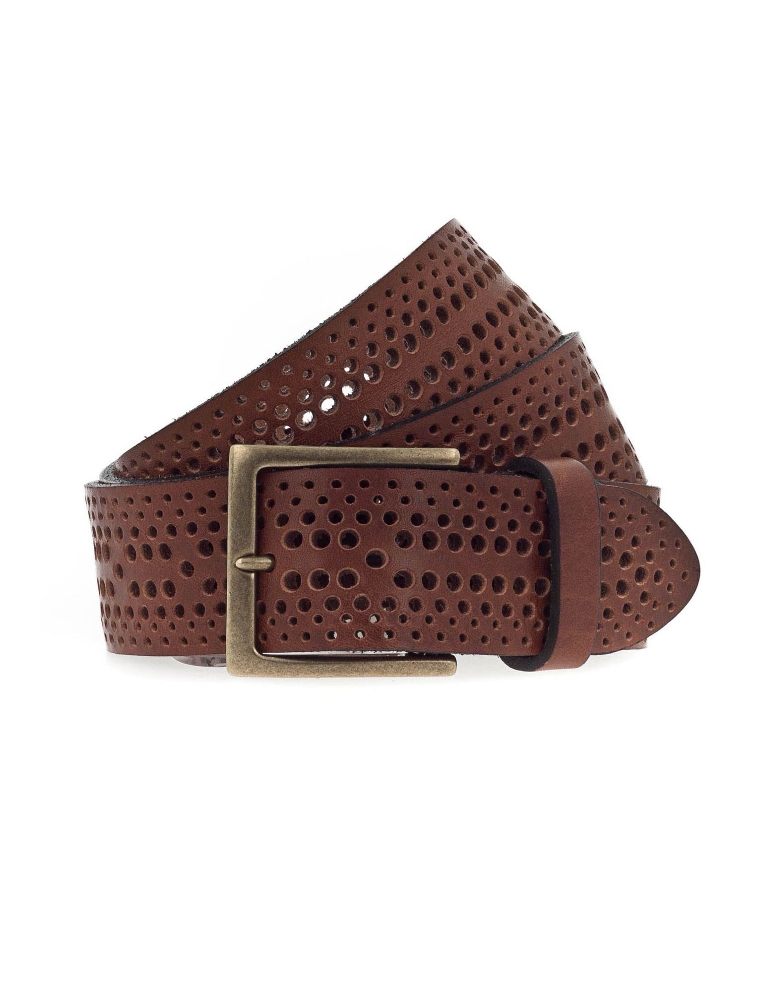 Jed Baileys Brown Belt
