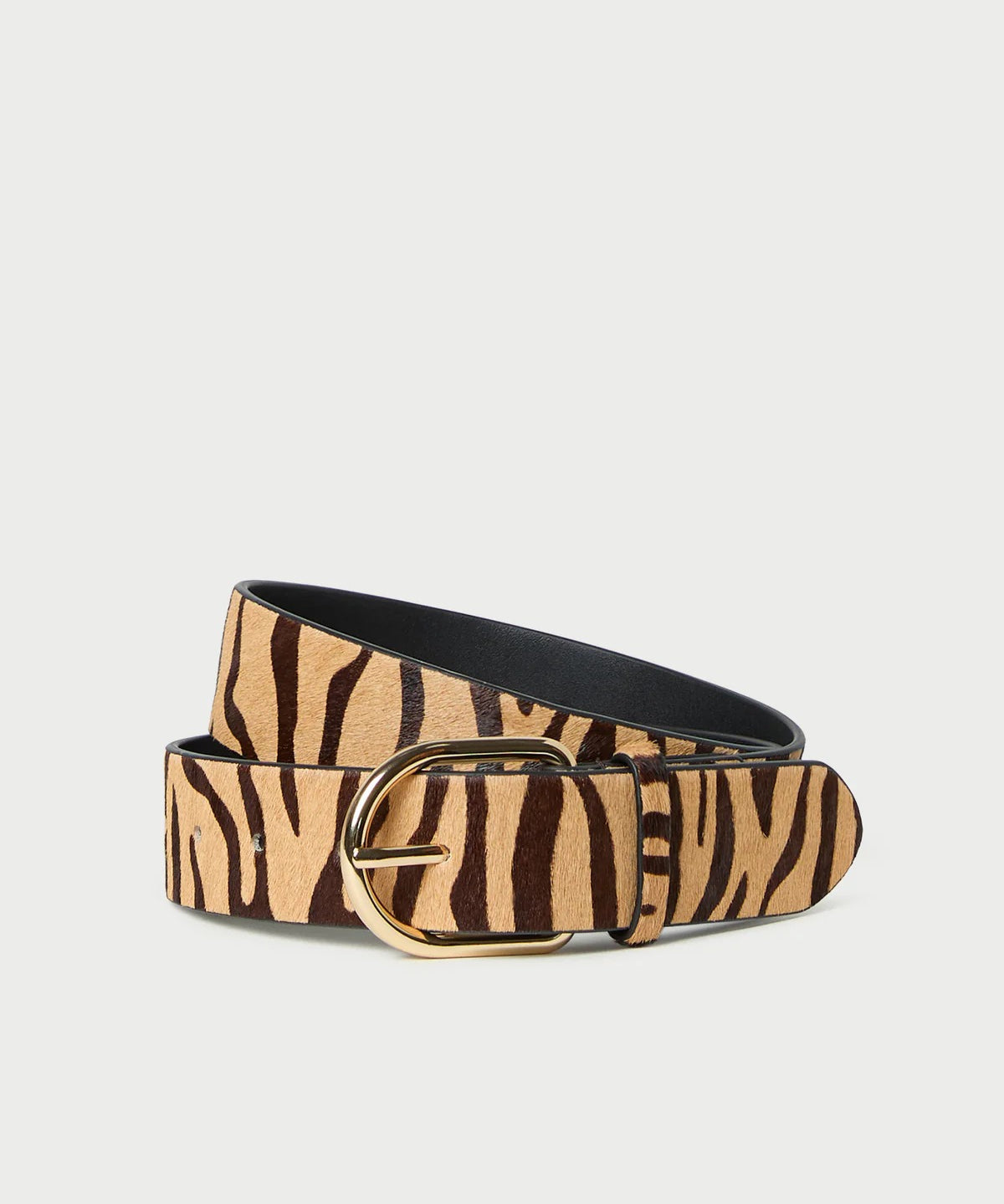imgi_9_ISAAC-HC-ZEBRA_1_24d378a0-a018-4db7-a2b3-284c758498f0.jpg