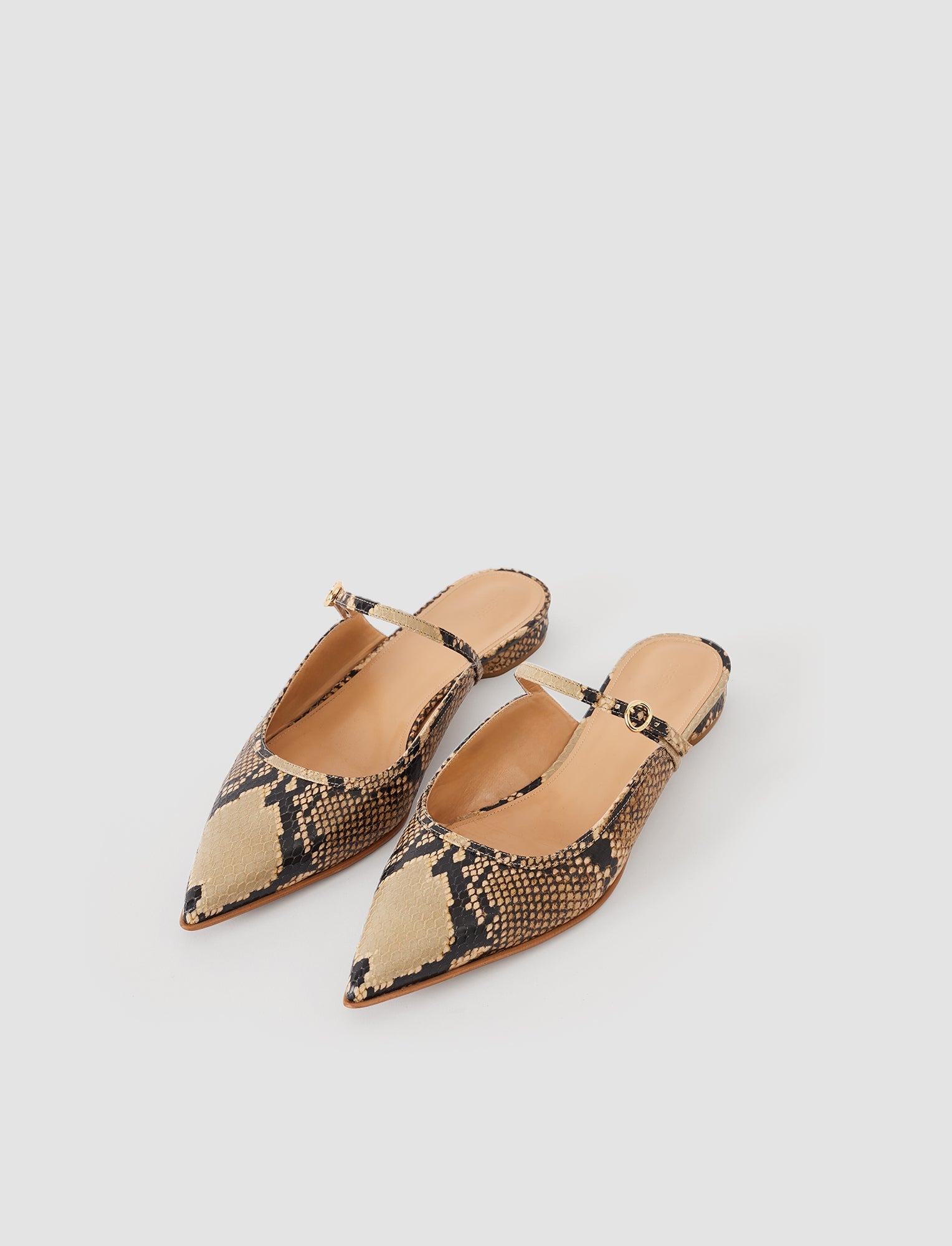 Parisa Snake Print Leather Ballerina Flats